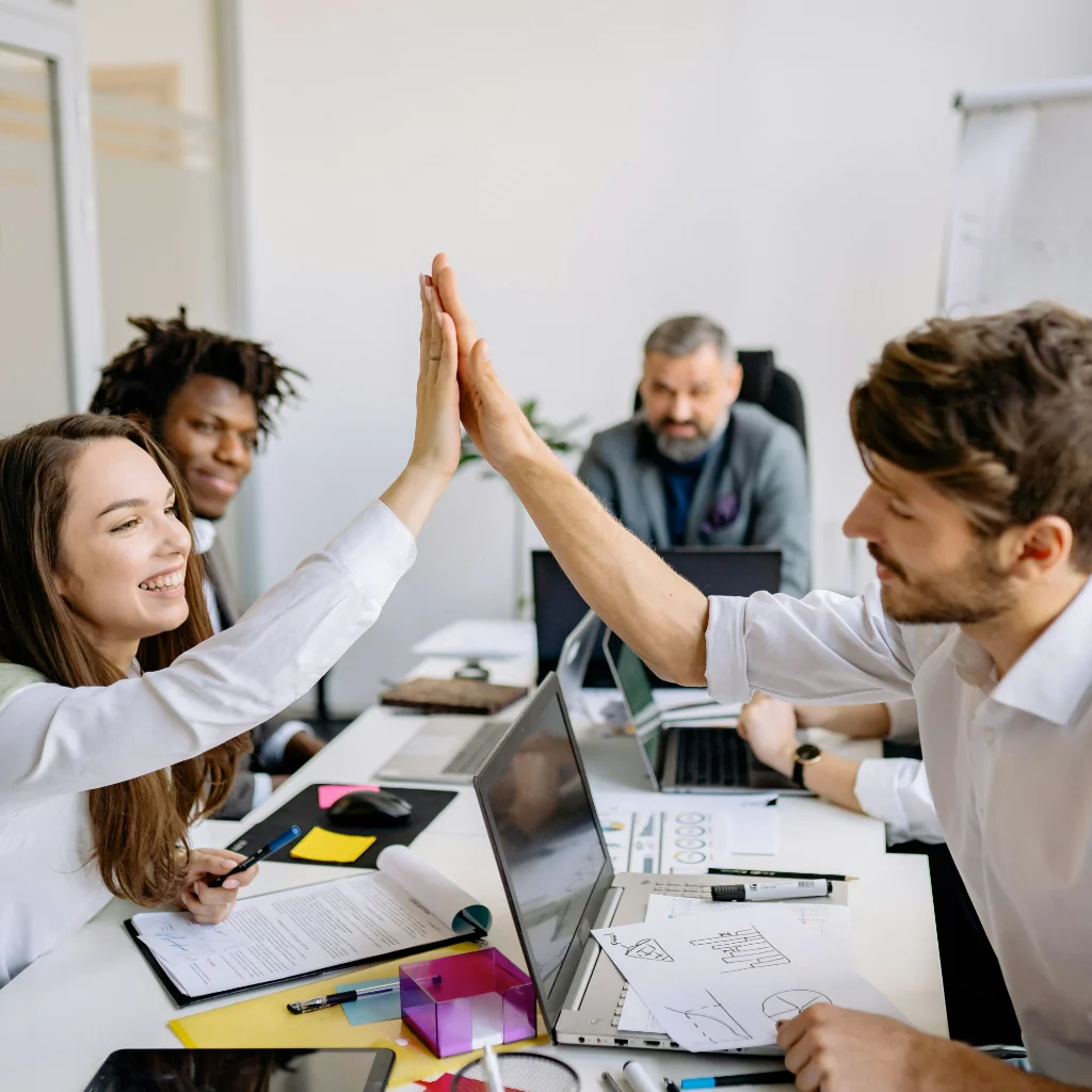 About Cognia Systems